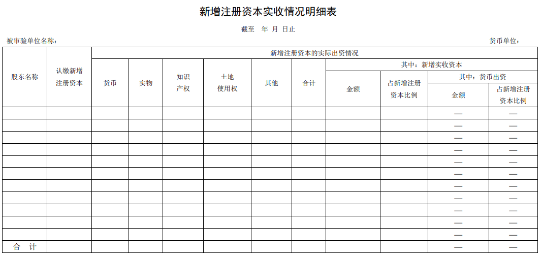 新增注册资本实收情况明细表