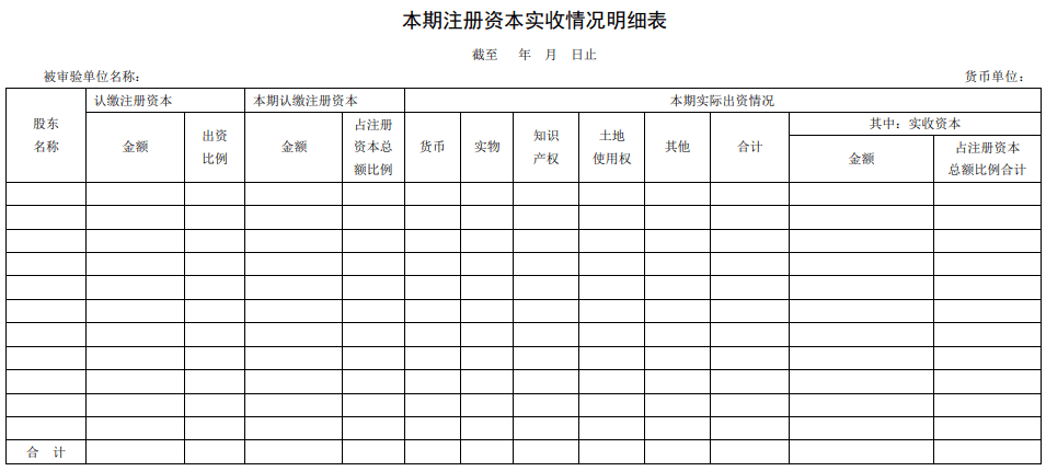 本期注册资本实收情况明细表