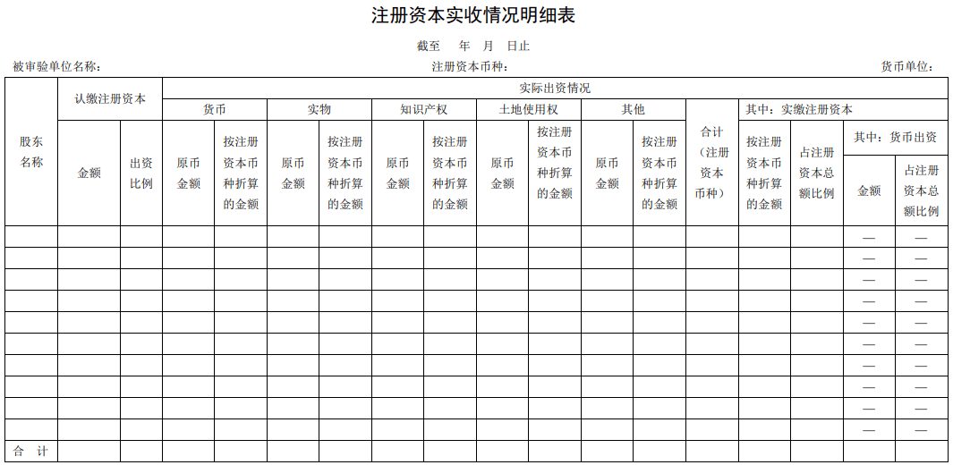 注册资本实收情况明细表