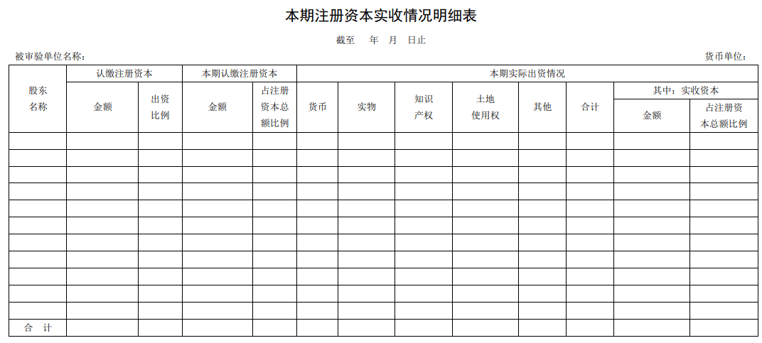 本期注册资本实收情况明细表
